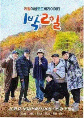 91精品影视 歌手2026